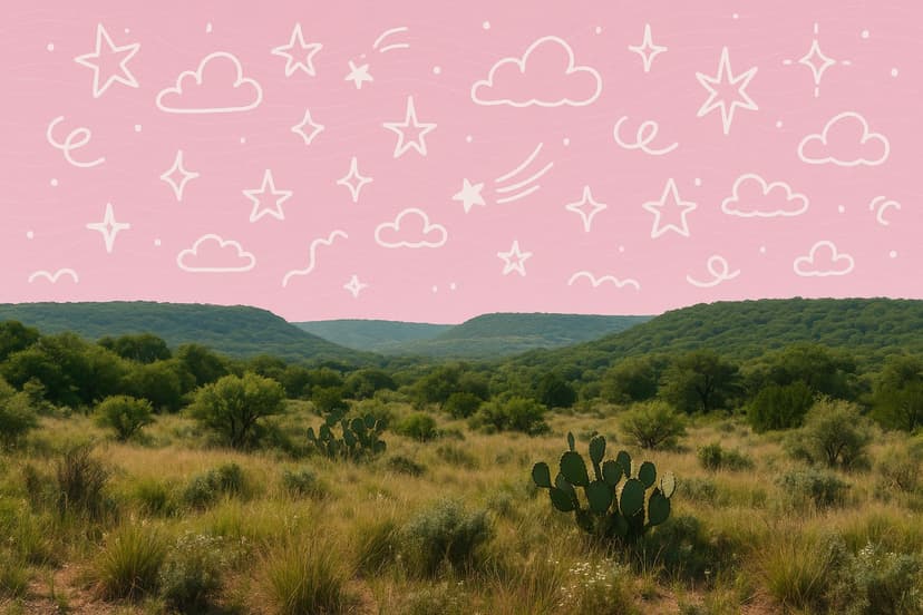 State Moving Guides Preview