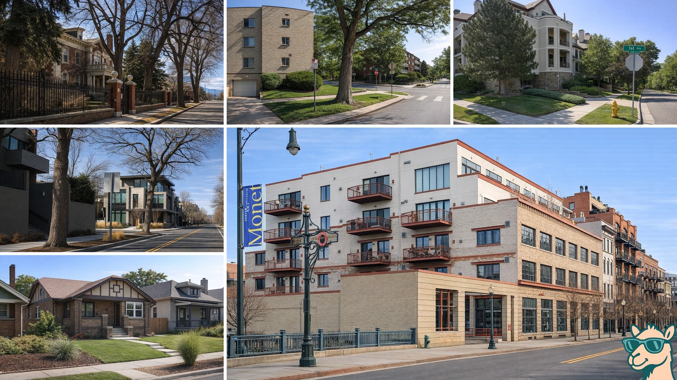 Residential neighborhood shots across Denver