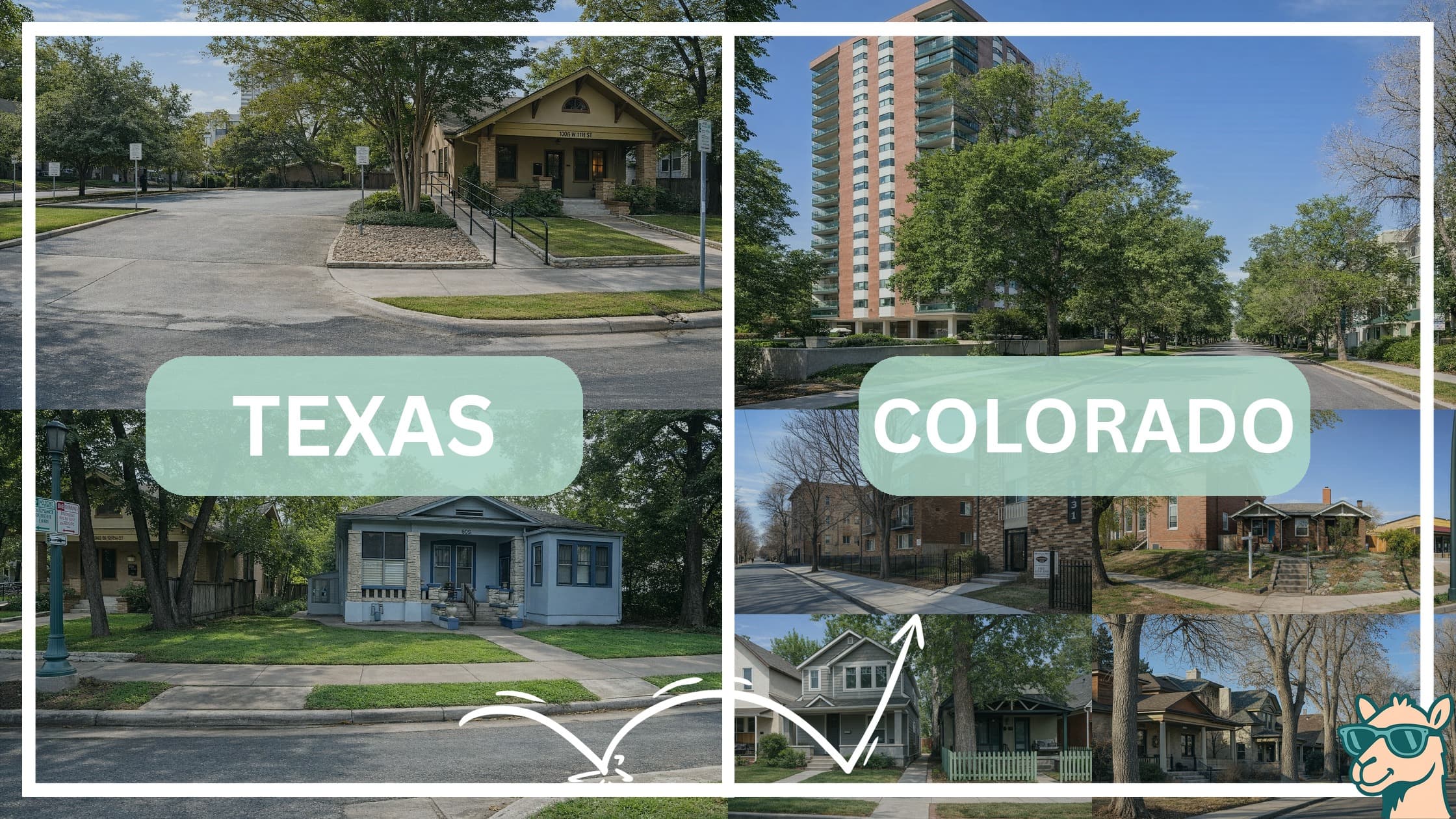 comparison of housing options and types between neighborhoods in Texas and Colorado
