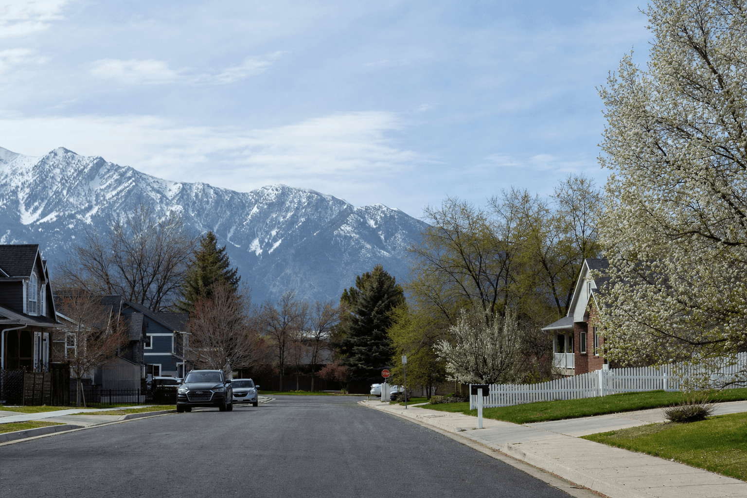 A quiet residential street lined with blossoming trees, homes, parked cars, and snow-capped mountains rising in the background.