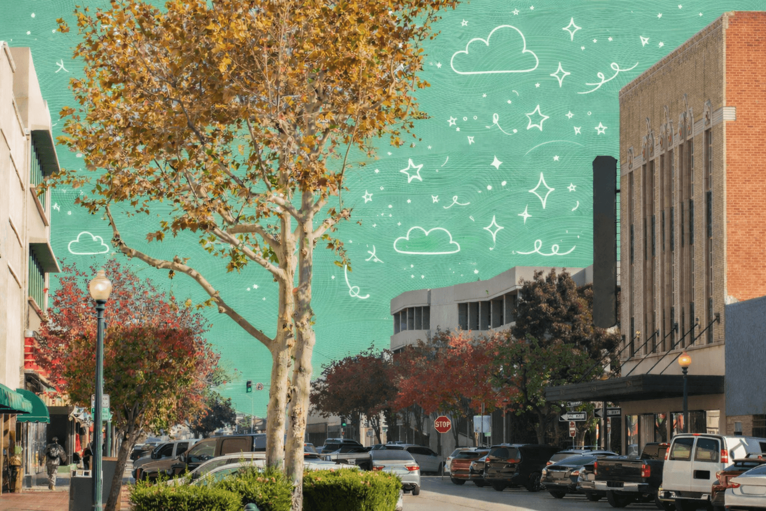 Tree lined street in Bakersfield California during fall with parked cars, downtown buildings, and a quiet neighborhood atmosphere on a sunny day.
