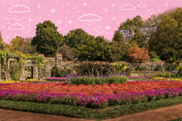 Formal garden at the Biltmore Estate in Asheville, North Carolina featuring colorful flower beds, stone walls, and tree lined paths on a sunny day.
