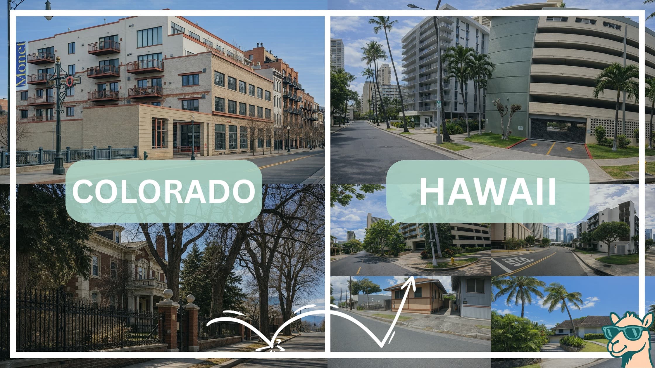 comparison of housing options and types between neighborhoods in Colorado and Hawaii
