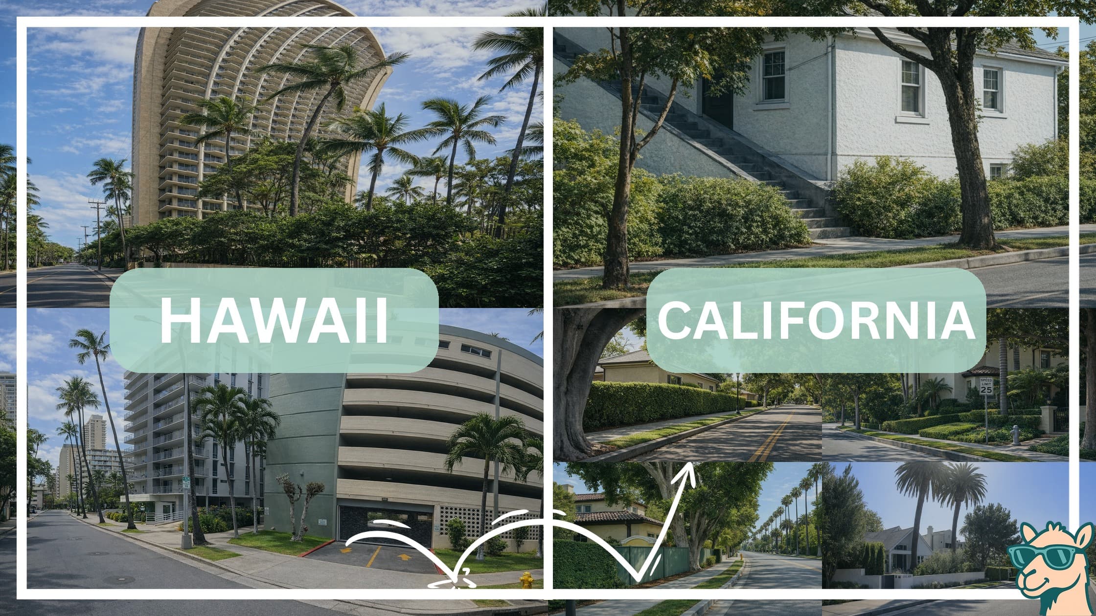 comparison of housing options and types between neighborhoods in Hawaii and California