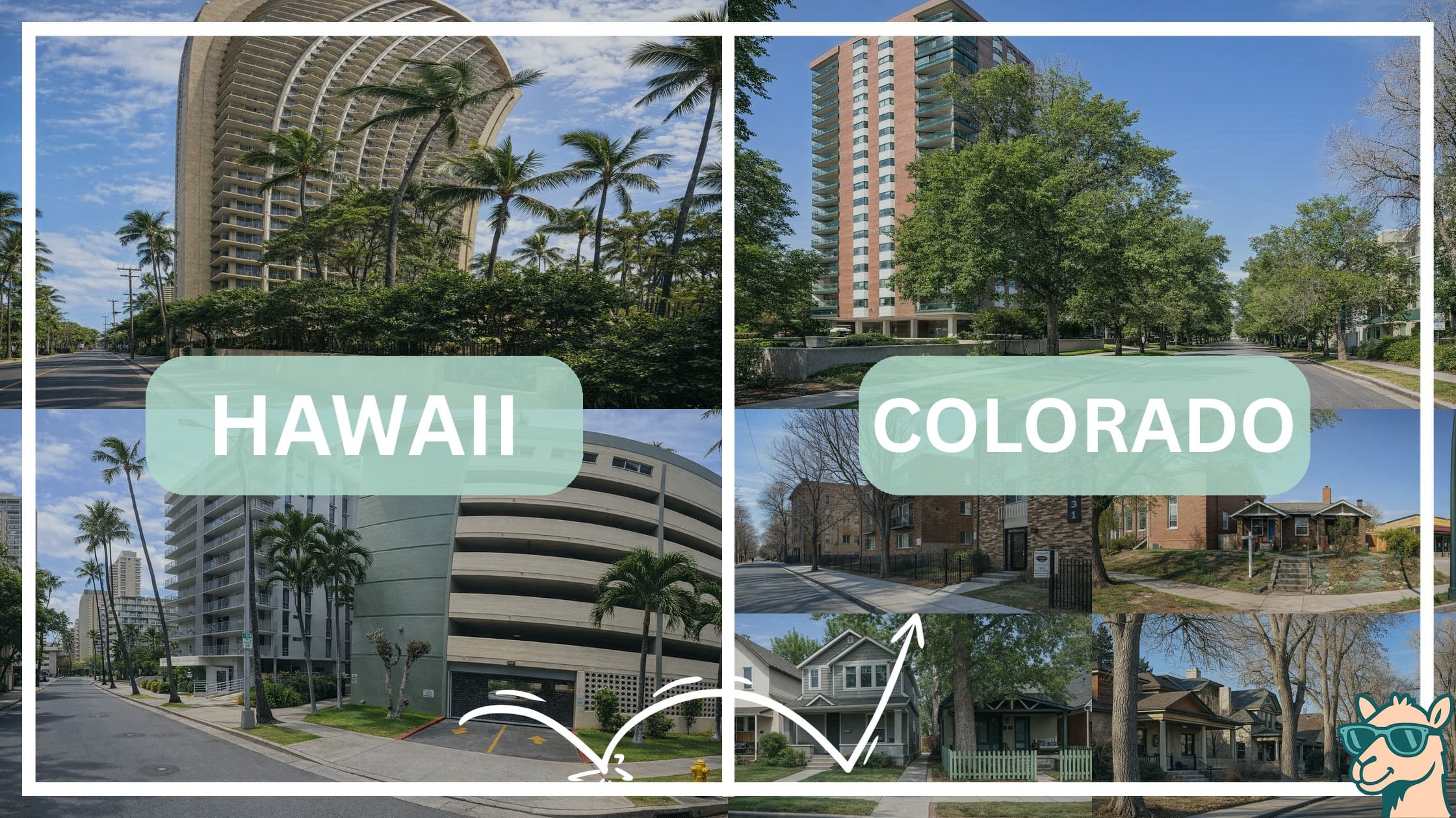 comparison of housing options and types between neighborhoods in Hawaii and Colorado