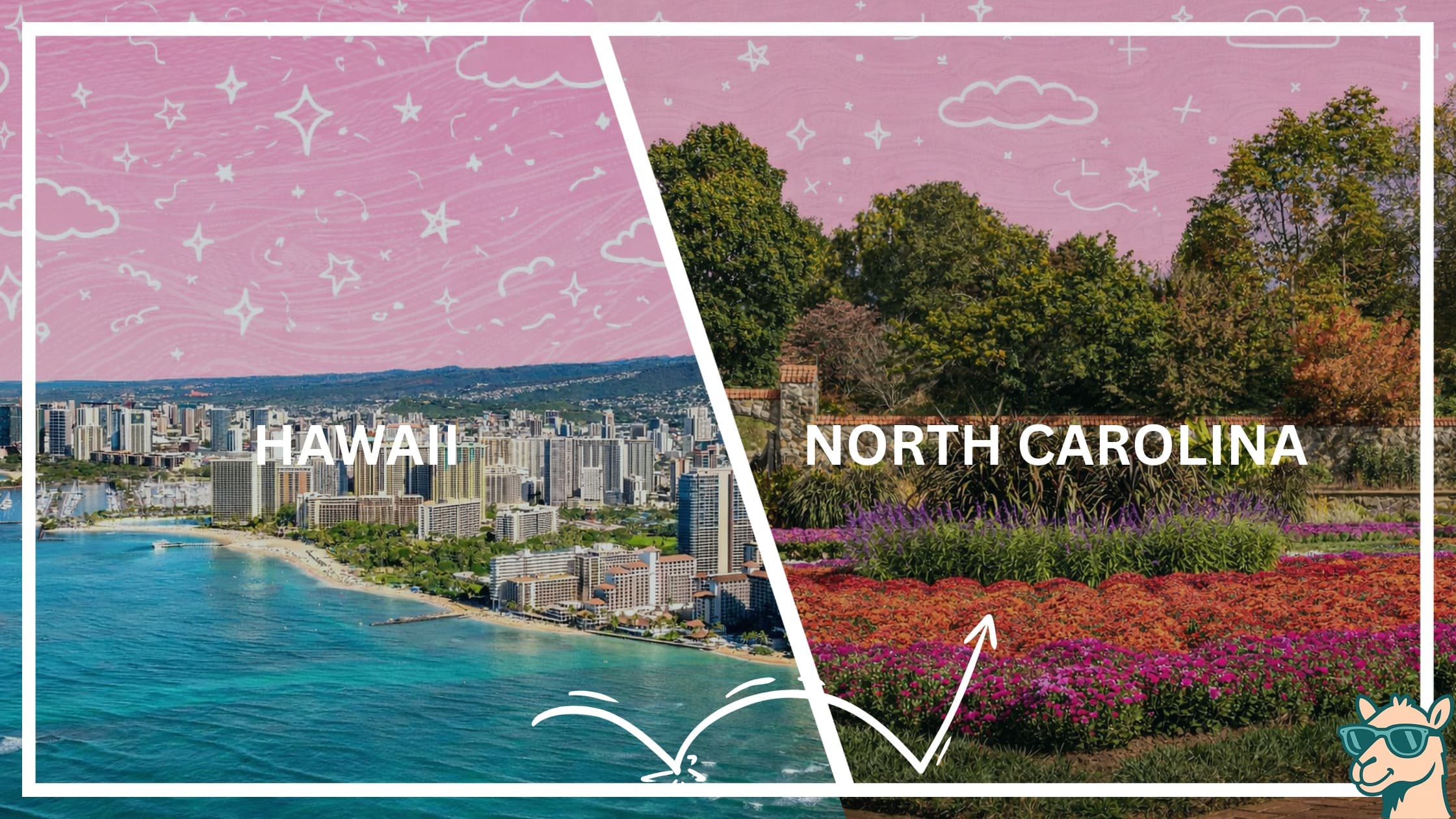 Moving from Hawaii to North Carolina featured image