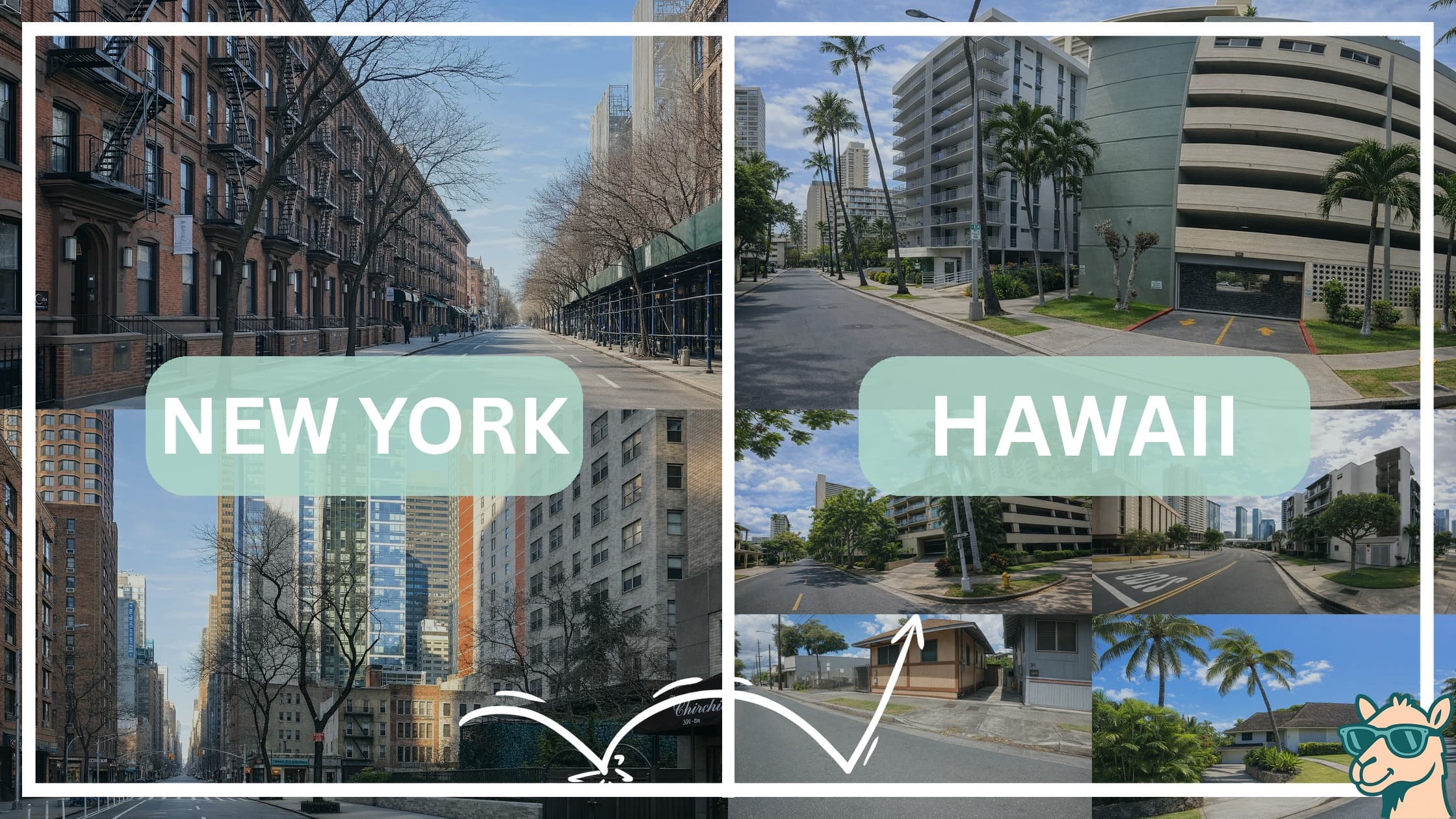 comparison of housing options and types between neighborhoods in New York and Hawaii