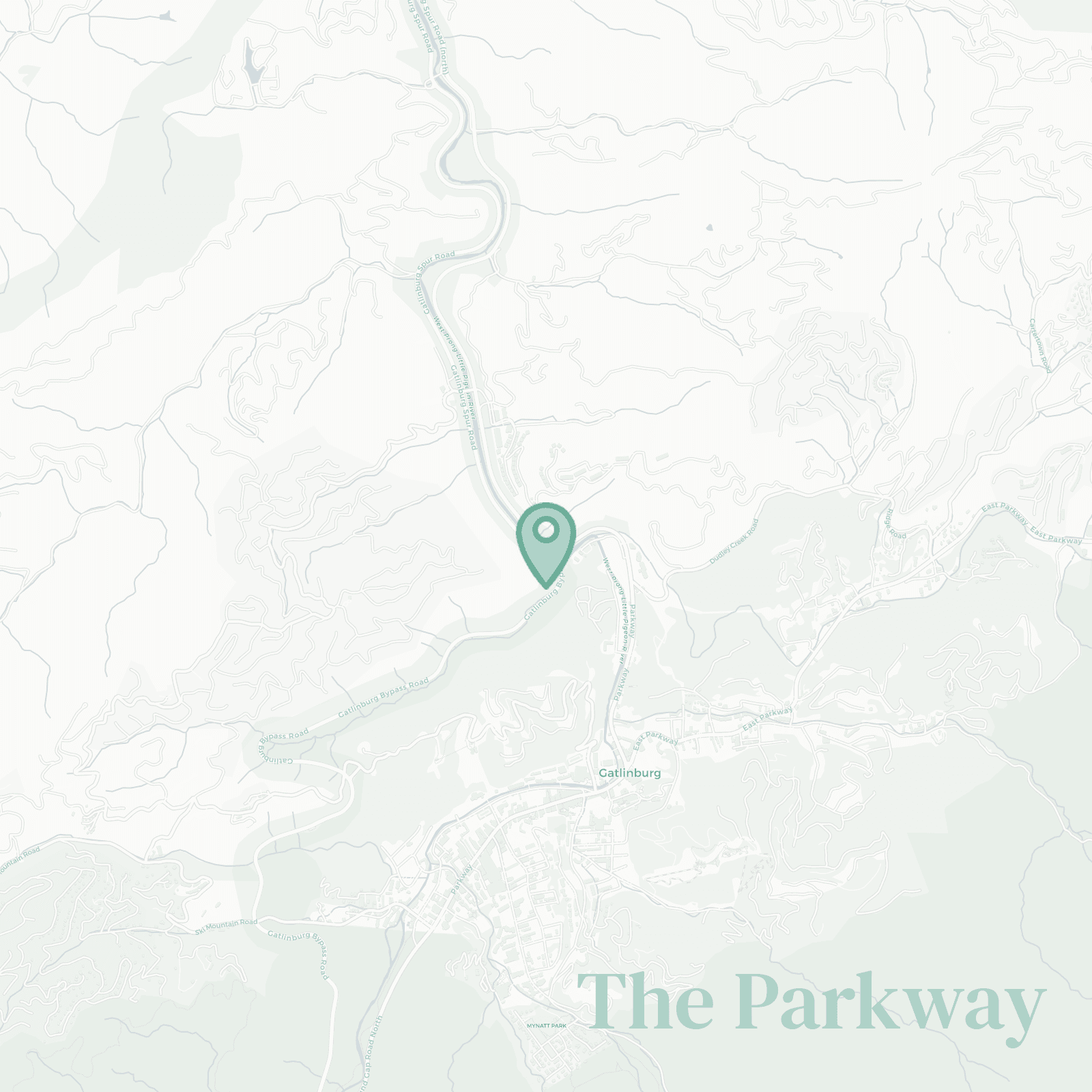 The Parkway neighborhood