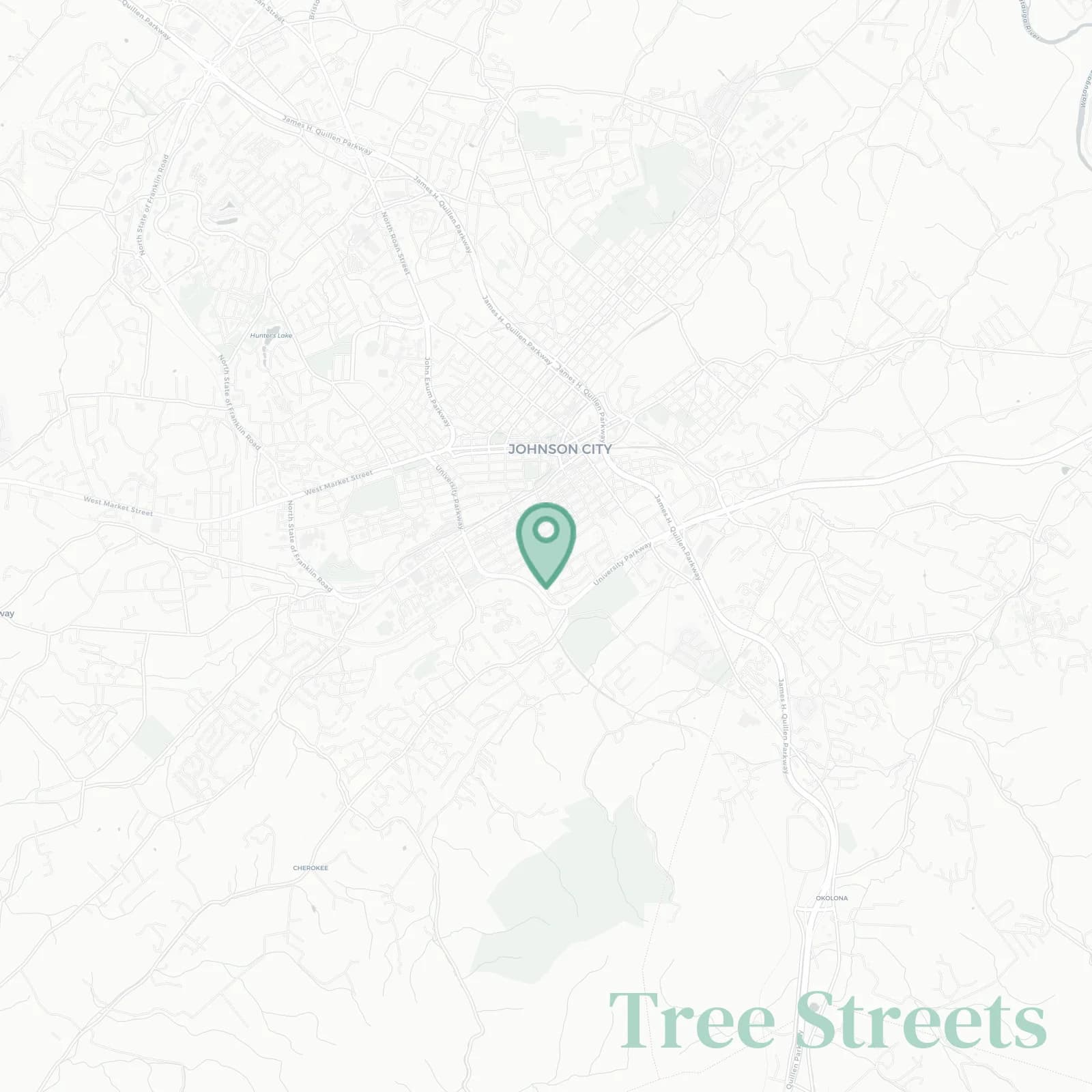 Tree Streets neighborhood